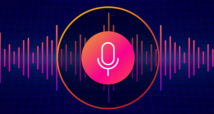 custom ivr